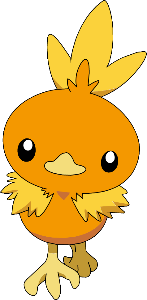 255torchic Ag Anime 2 - Torchic (475x971), Png Download