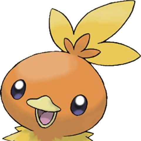 Click To Edit - Pokemon Torchic (480x480), Png Download