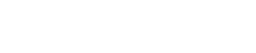 Flint Bishop Airport - Flint (846x185), Png Download