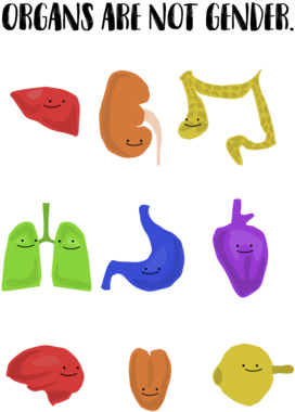 Contest Powered By Votigo (369x481), Png Download