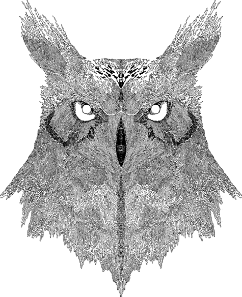 Notebook Design For Adult Swim - Eastern Screech Owl (475x584), Png Download