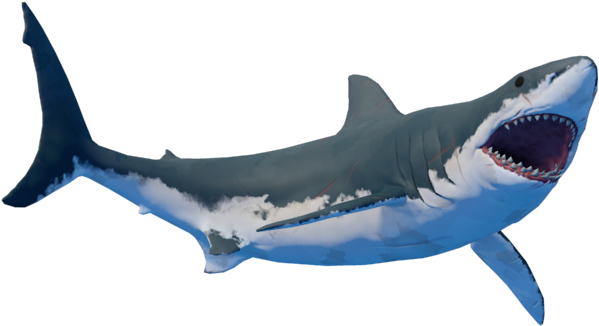 File - Shark1 - Requiem Shark (640x360), Png Download