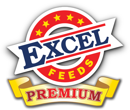 Excel Premium - Excel Feeds (450x381), Png Download