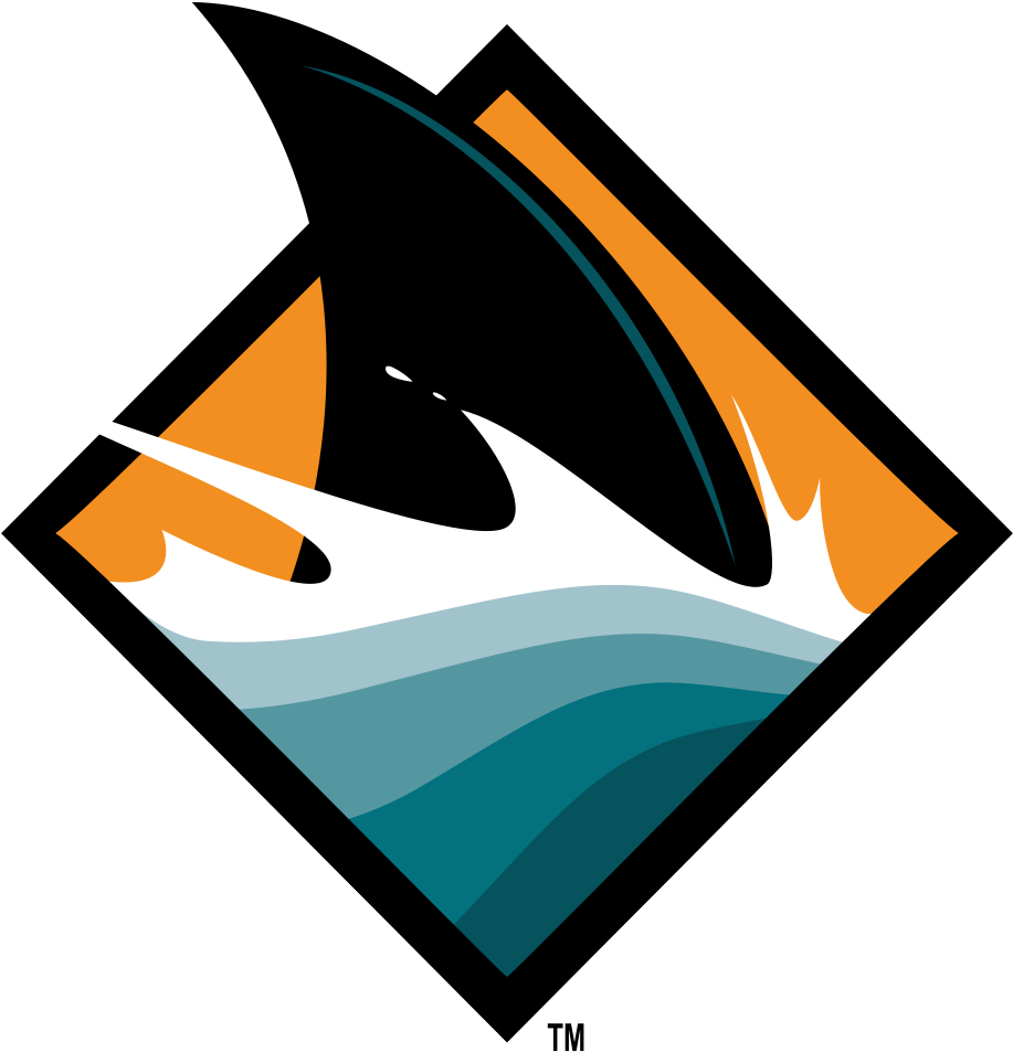 San Jose Sharks Alternate Logo (1024x1024), Png Download
