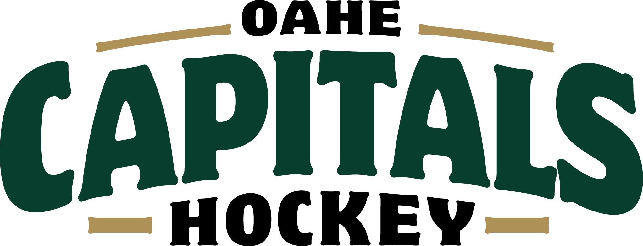 Download Full Color Type Pierre Capital Hockey PNG Image with No