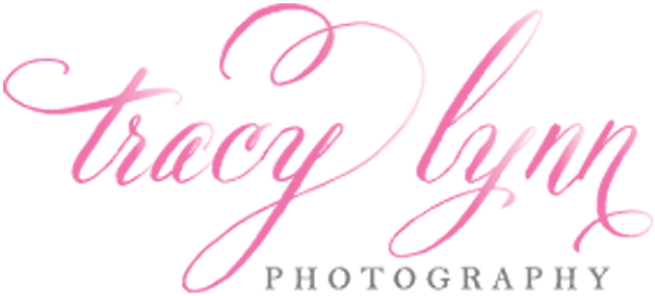 Tracy Lynn Photography New Logo - News (768x445), Png Download