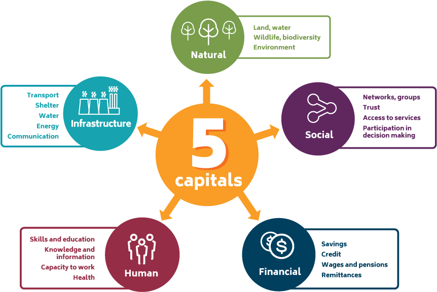 5 Capitals Infographic Copy - Five Capitals (888x643), Png Download