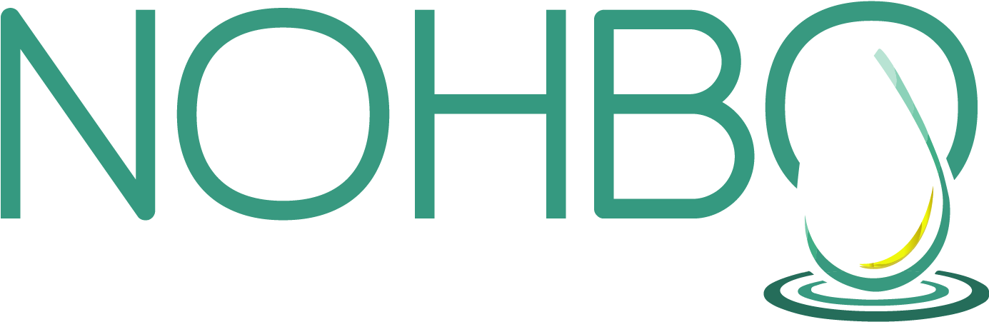About Nohbo - Nohbo Logo (1419x496), Png Download