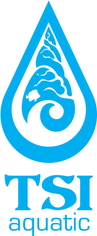 Overview - Curriculum Research & Development Group (250x481), Png Download
