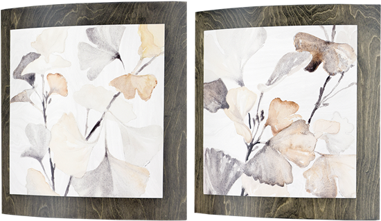 Ginkos - Convex Pk/2 - Pk (550x550), Png Download