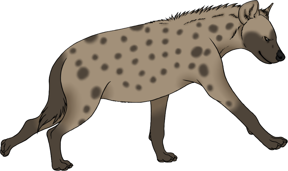 Hyena Png - Transparent Hyena Clipart (963x573), Png Download