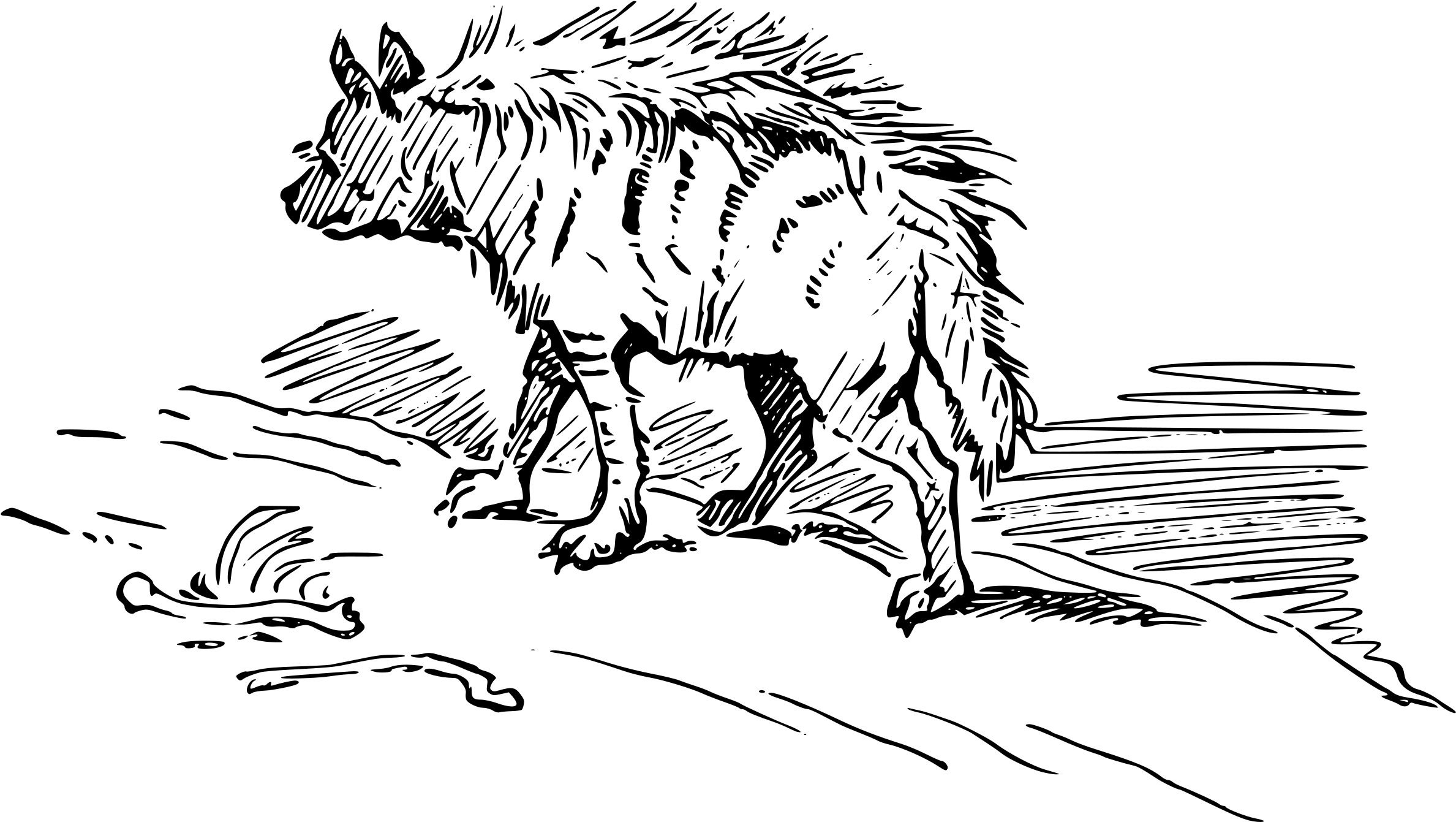 Hyena Png (2400x1353), Png Download