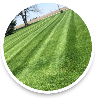 Lawn Mowing - Lawn (368x385), Png Download