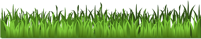 Grass-159804 640 - Transparent Background Grass Clipart (640x320), Png Download