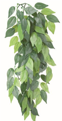 Hanging Plants Png Download - Trixie Silk Hanging Plant Ficus 20x50 Cm (400x400), Png Download