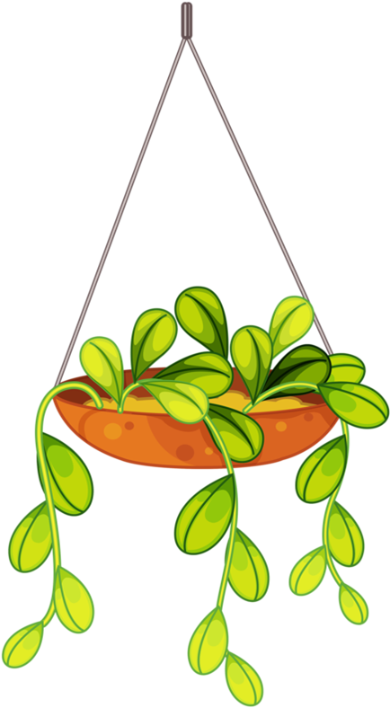 Home Clipart, Hanging Plants, Potted Plants, Flower - Plantas Colgantes Para Colorear (448x800), Png Download