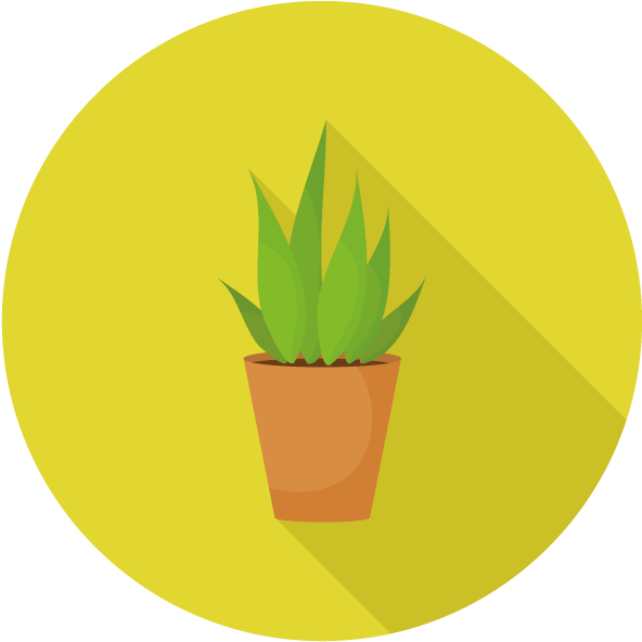 Download Äpfel Mit Birnen Vergleichen PNG Image with No Background ...