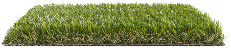 Imperial Turfgrass Psh - Lawn (480x350), Png Download