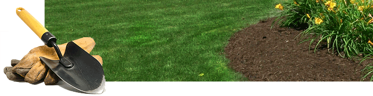 Image - Hi Trowel Garden 2552d (770x199), Png Download