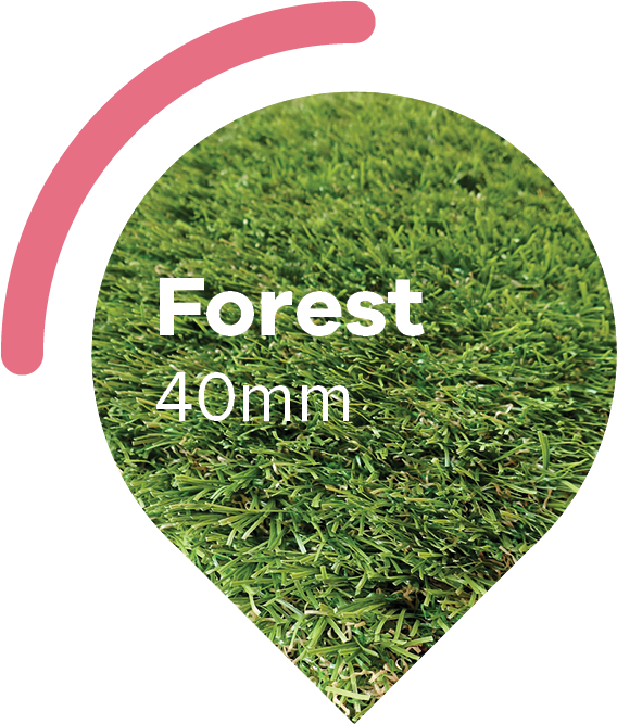 Forest Artificial Grass - Portable Network Graphics (300x400), Png Download