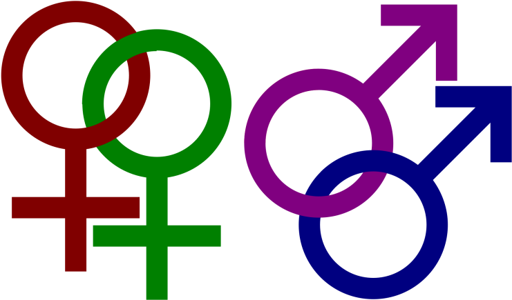 For Children's Sake, Courts Should Embrace Equitable - Teorías De La Orientación Sexual (768x453), Png Download