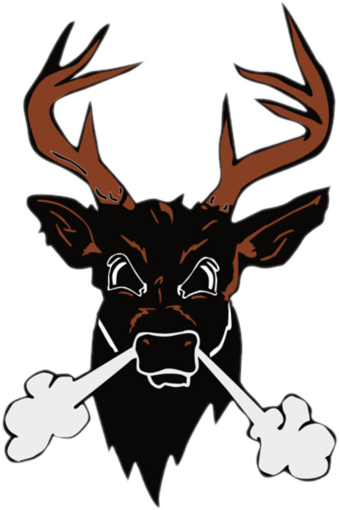 Buckeye Bucks - Buckeye Local Schools Jh (339x510), Png Download