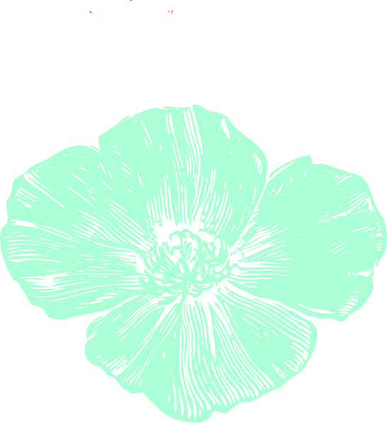 How To Set Use Mint Poppy Clipart (546x596), Png Download