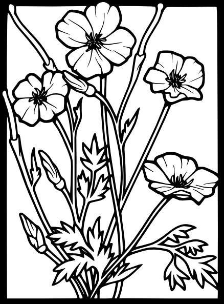 Original Png Clip Art File Poppy Svg Images Downloading (438x593), Png Download