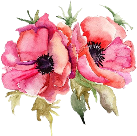 Flowers In Water Color (532x480), Png Download