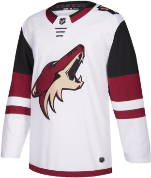 1 / - Arizona Coyotes Jersey Adidas (400x400), Png Download