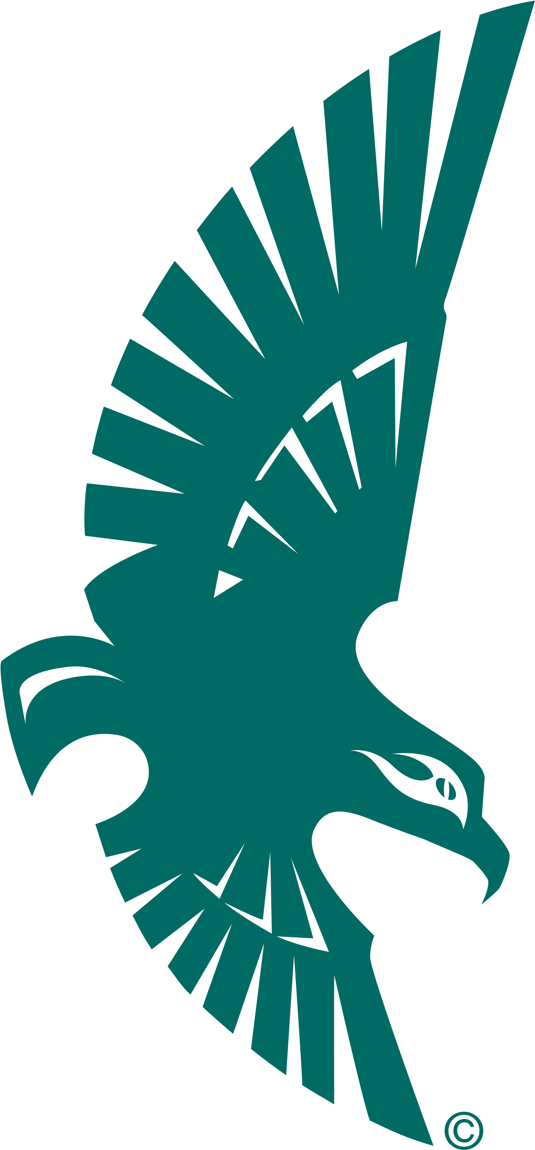 Soaring Seahawk Logo Png Transparent - Vector Kite Bird Logo (2400x2400), Png Download