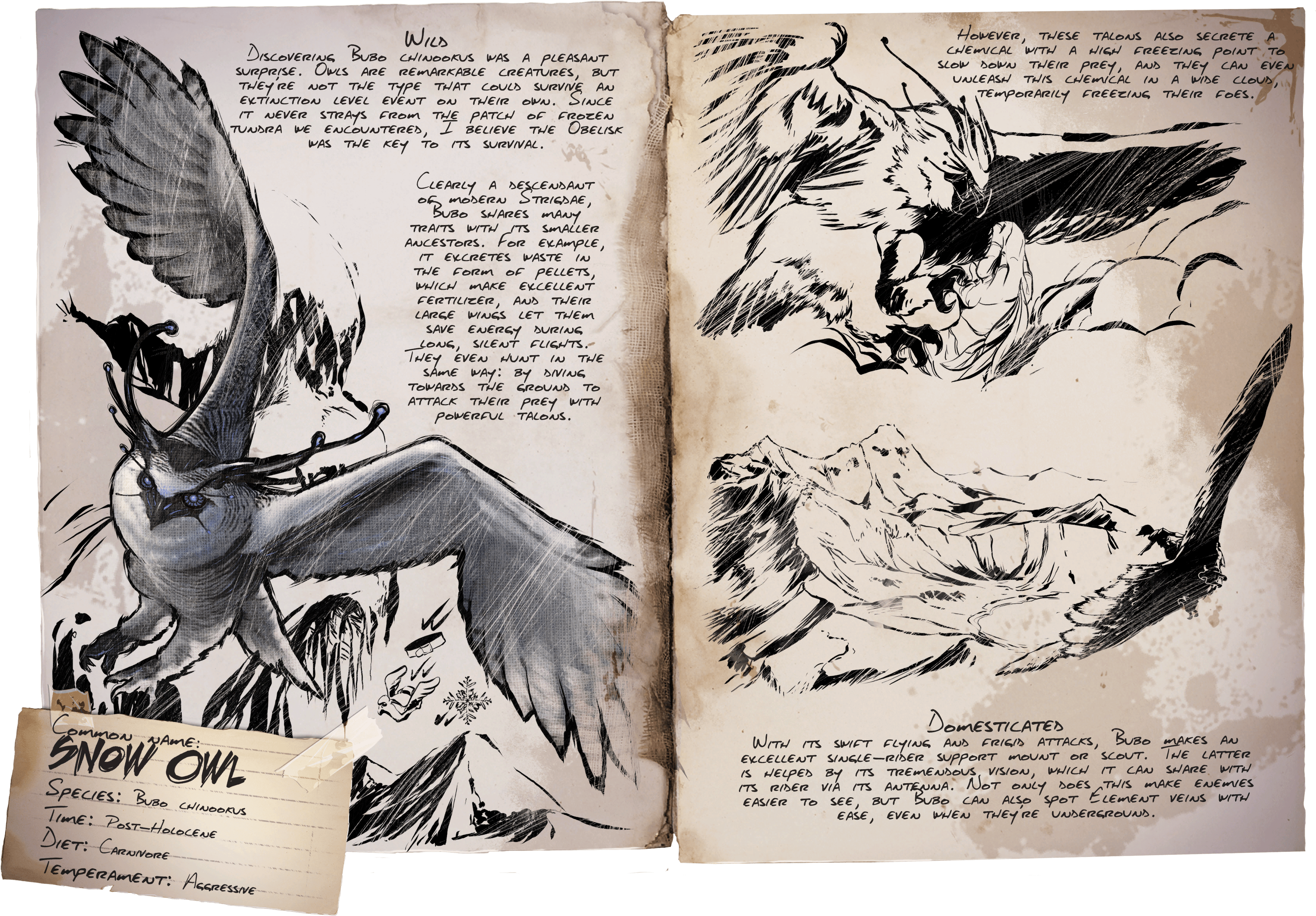 Deutsches Dino Dossier - Owl (4000x2660), Png Download