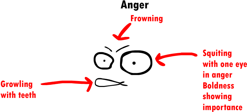 Glass Monocle Png - Circle (1010x566), Png Download