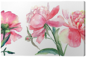 Beautiful Peonies Flowers, Watercolor Painting Canvas - Watercolor Painting (400x400), Png Download