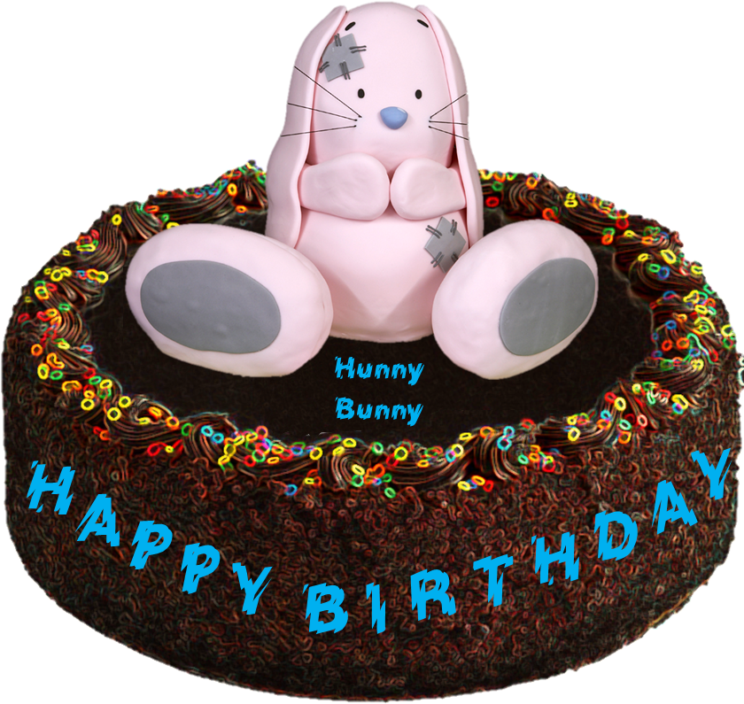 Hunnybunnys-birthday - - Rabbit Birthday Cake (917x799), Png Download