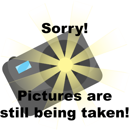 This Is A Vulpix 'pog' Per Say - Graphic Design (444x444), Png Download