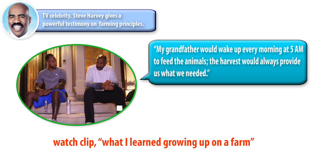The Official Steve Harvey - Education (1024x485), Png Download