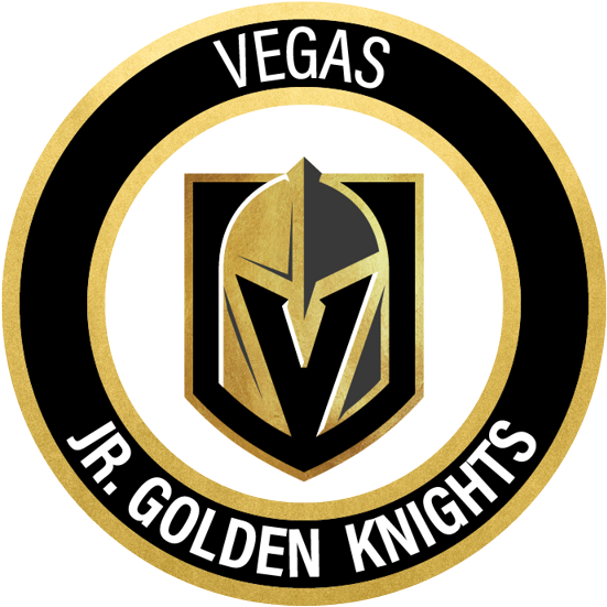 Long Term Athletic Development Flyer - Nhl Vegas Golden Knights Franklin Sports Street Hockey (1024x819), Png Download