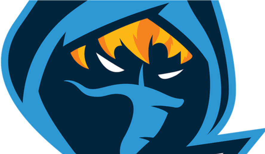 Rekt Global Acquires Rogue - Team Rogue (912x516), Png Download