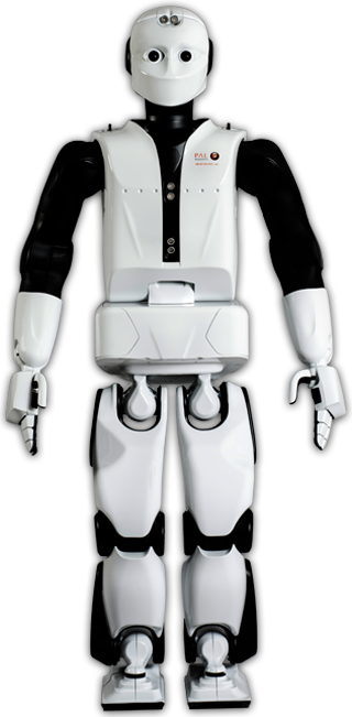 Robot Humanoide Png (320x651), Png Download