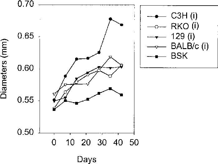 Ifn R / Mice Developed Arthritis Similar To That Of - Diagram (719x538), Png Download
