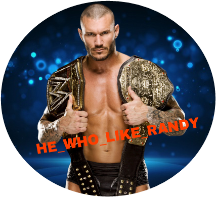 John Cena World Heavyweight Champion 2013 (427x390), Png Download