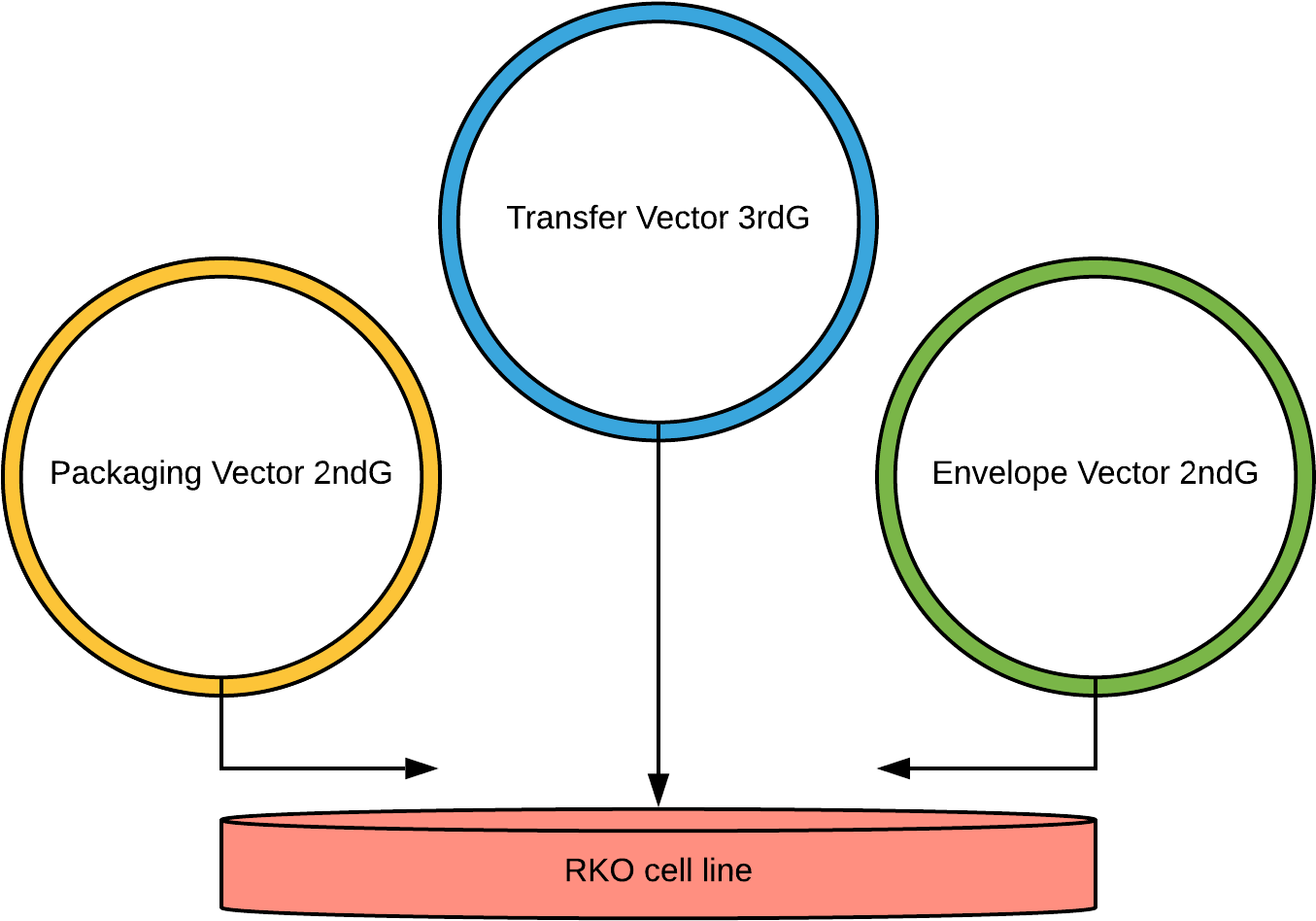 Our Main Design Of Lentiviral Transfection Into Rko - Circle (1444x1054), Png Download