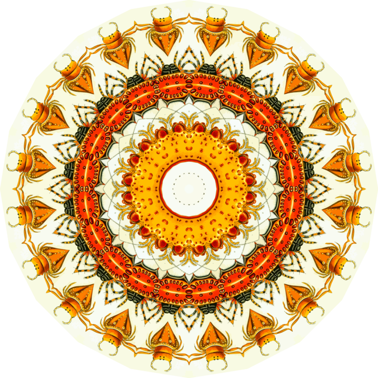 Color Wheel Circle Wall Decal Color Chart - Tholos Delphi (750x750), Png Download