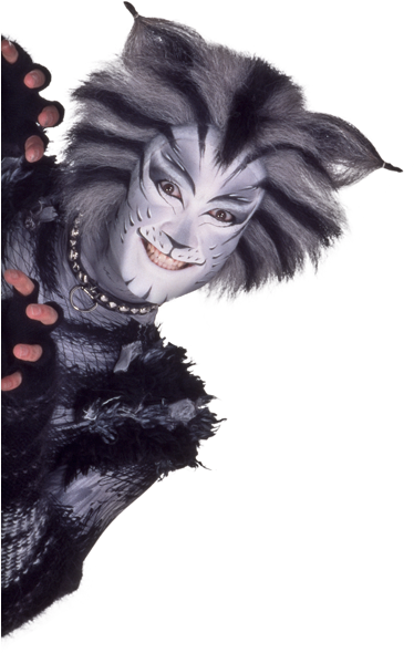 A Few Things You May Not Know About Cats The Musical - Cats Musical Png (376x600), Png Download