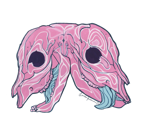 Two Headed Cow - Cattle (500x461), Png Download