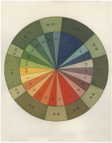 Color Wheel - Workman John Derian Picture Book (500x500), Png Download