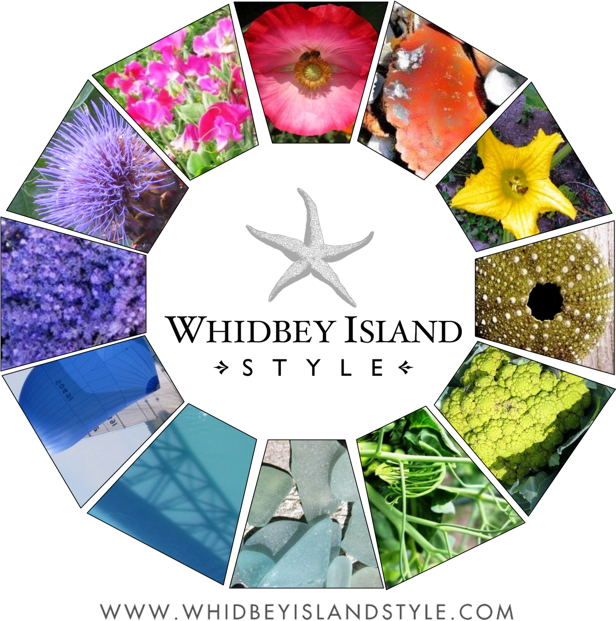 Wiscolorwheel2 - Whidbey Island (1246x1280), Png Download