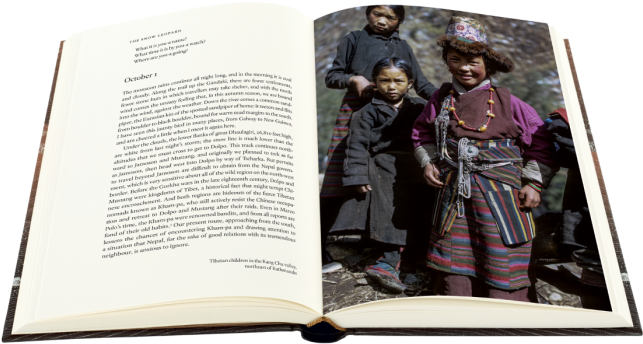 Skip To The End Of The Images Gallery - Document (700x700), Png Download