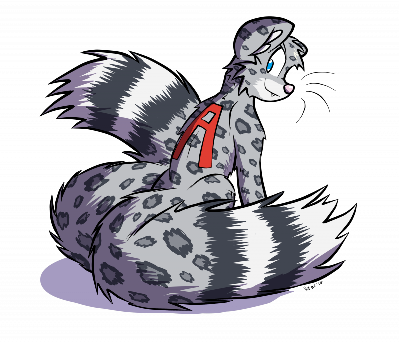 A Snow Leopard - Illustration (800x685), Png Download